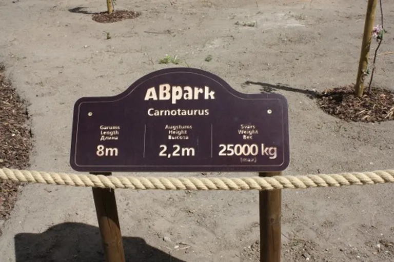 Фото статьи