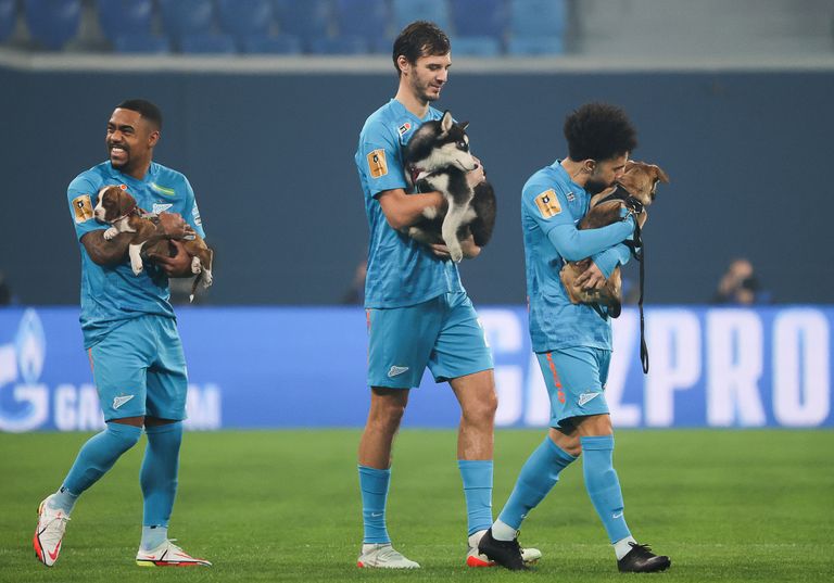 FC Zeniti mängijad (vasakult) Malcom, Alexander Yerokhin ja Claudinho varjupaiga koertega väljakul.