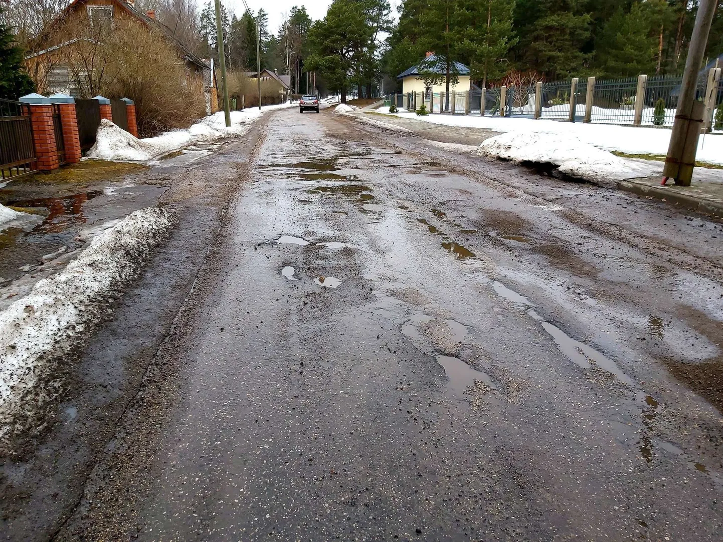 Augud Varoņu tänava sõiduteel Lätis Valkas.