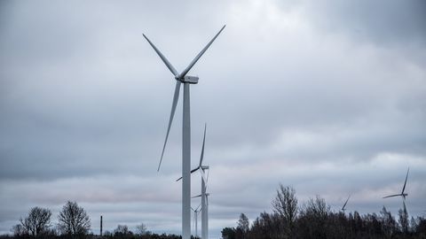 Enefit Greeni Leedu tuulepargis varises kokku tuulikutorn turbiiniga