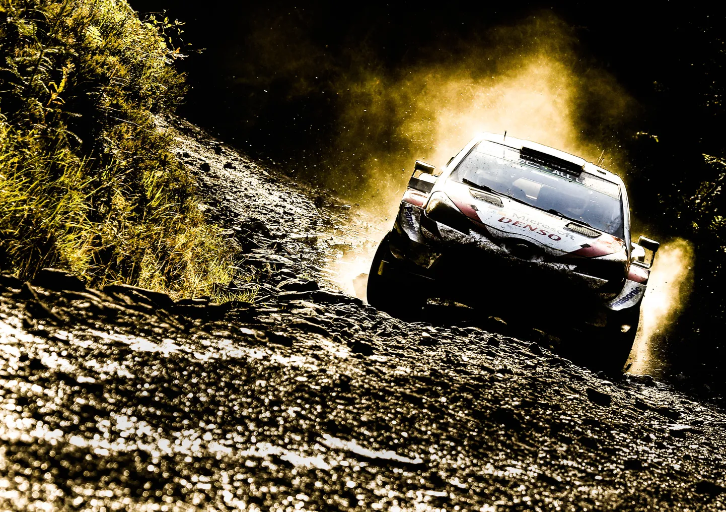 Kris Meeke avastamas Uus-Meremaa teid. Sedapuhku paraku nõrgema masinaga, mitte pildil oleva WRCga.