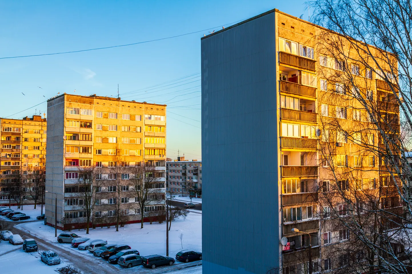 Raksta foto