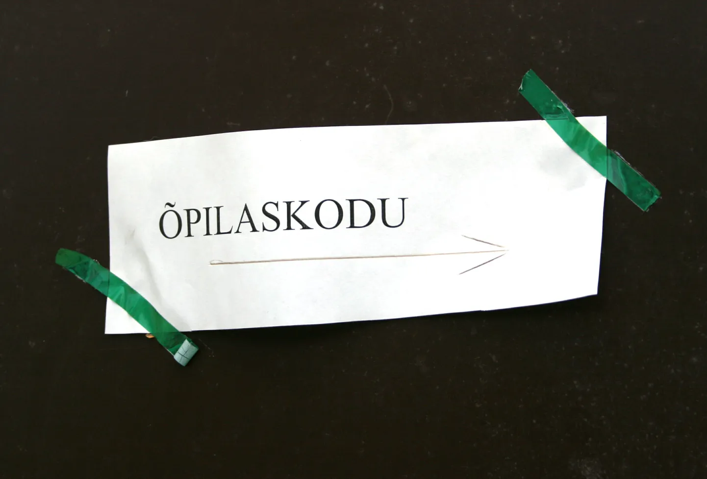 Artikli foto
