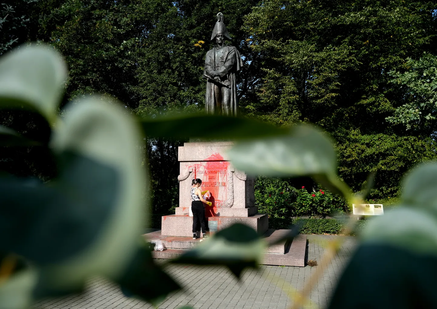 Фото статьи