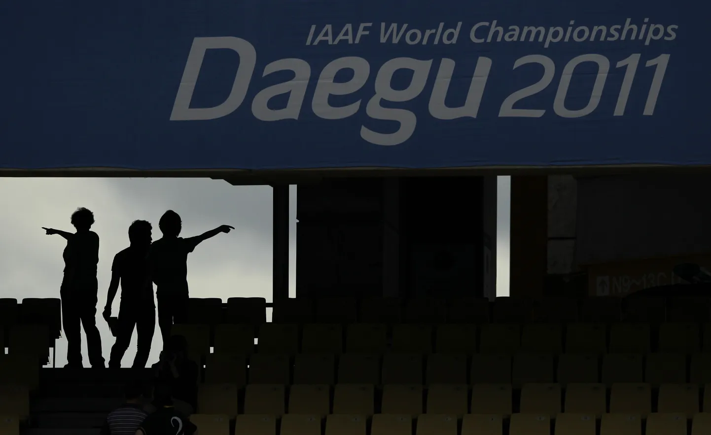 Daegu MM.