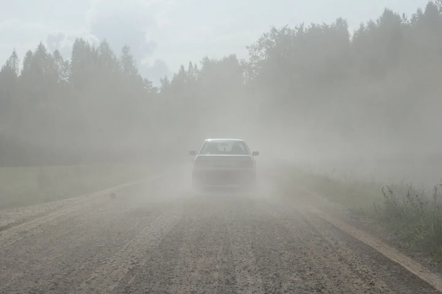 Пыль.