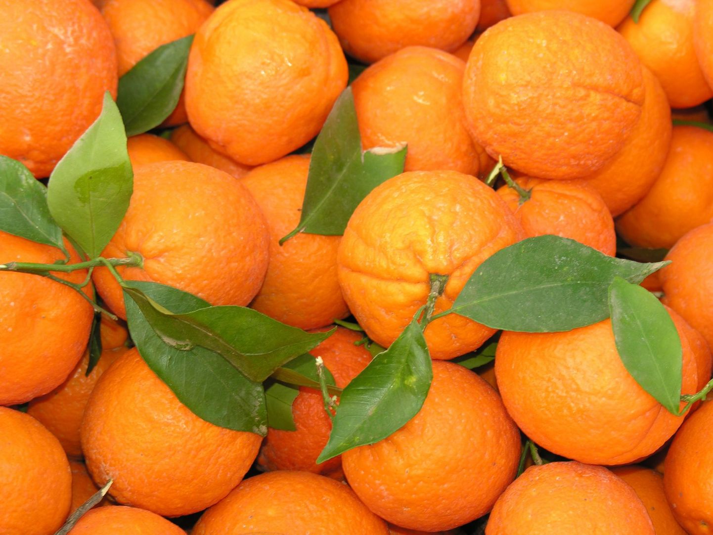 Iiri firma lubab LED-valgustitega apelsinid särama panna kui juveelid.