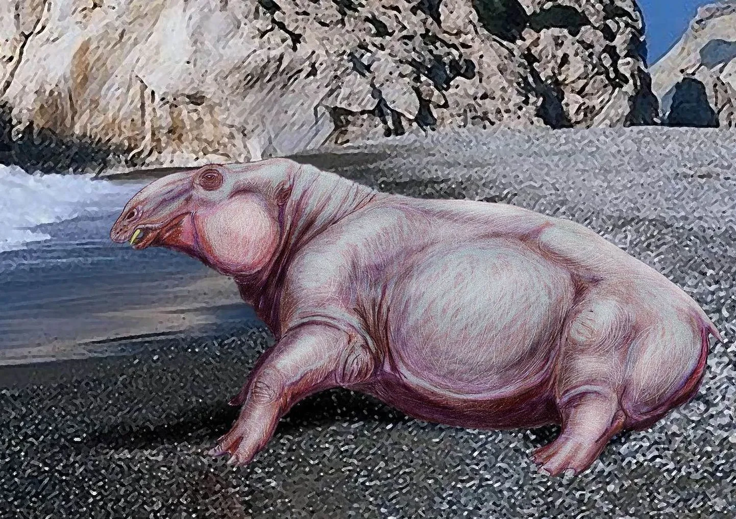 Ounalashkastylus tomidai