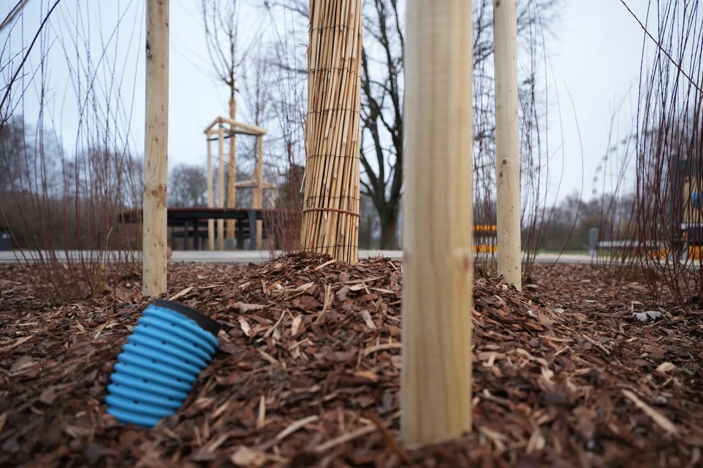 Uzvaras parkā izveidots jauns rotaļu laukums un atjaunoti celiņi vairāku kilometru garumā