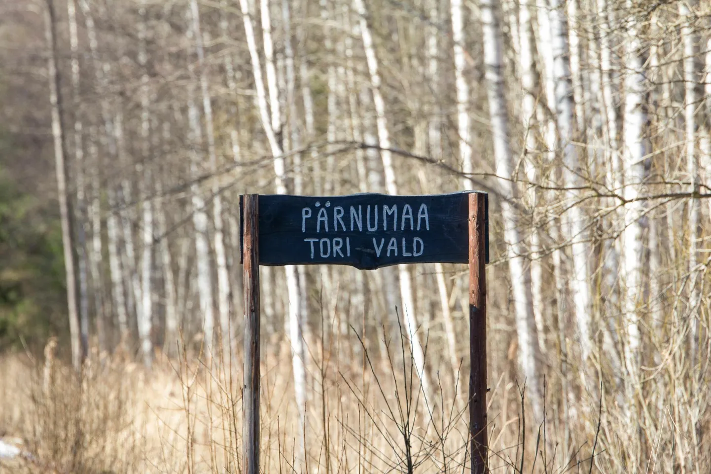 Tori vald on Pärnumaal ainuke, kus rahvastik mullu kasvas.