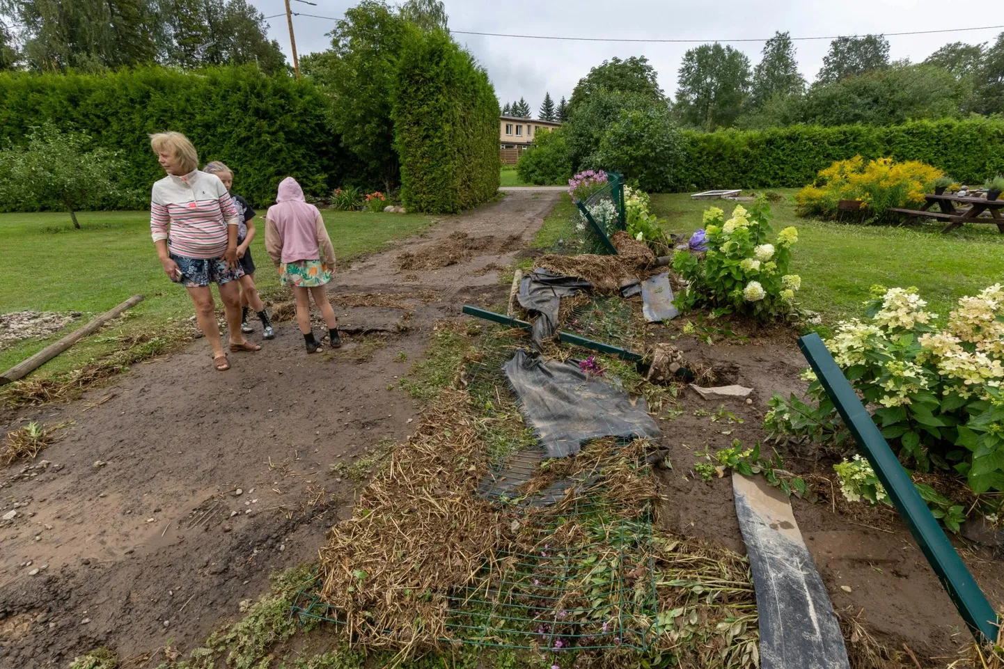 Perekond Sabrel läks sündmuste käigus ka kass kaduma.