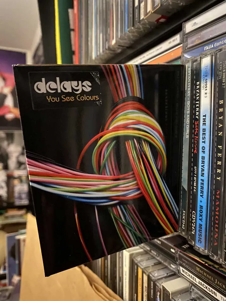 The Delays "You See Colours"