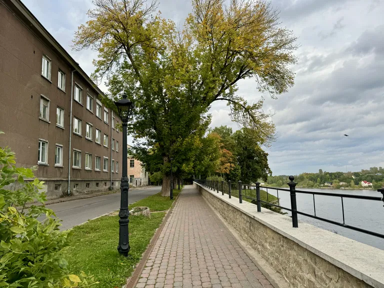 Темный сад по праву считается одним из самых красивых мест города.