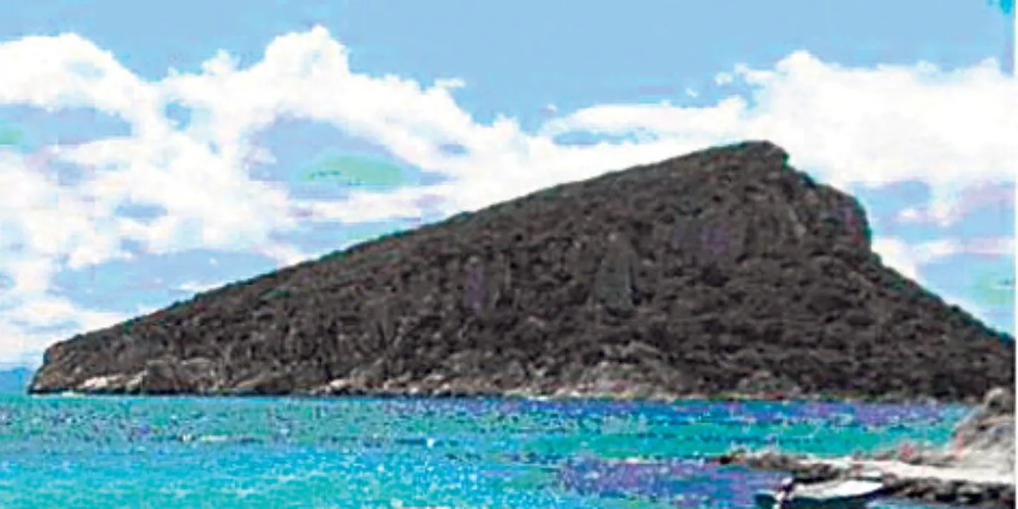 Artikli foto