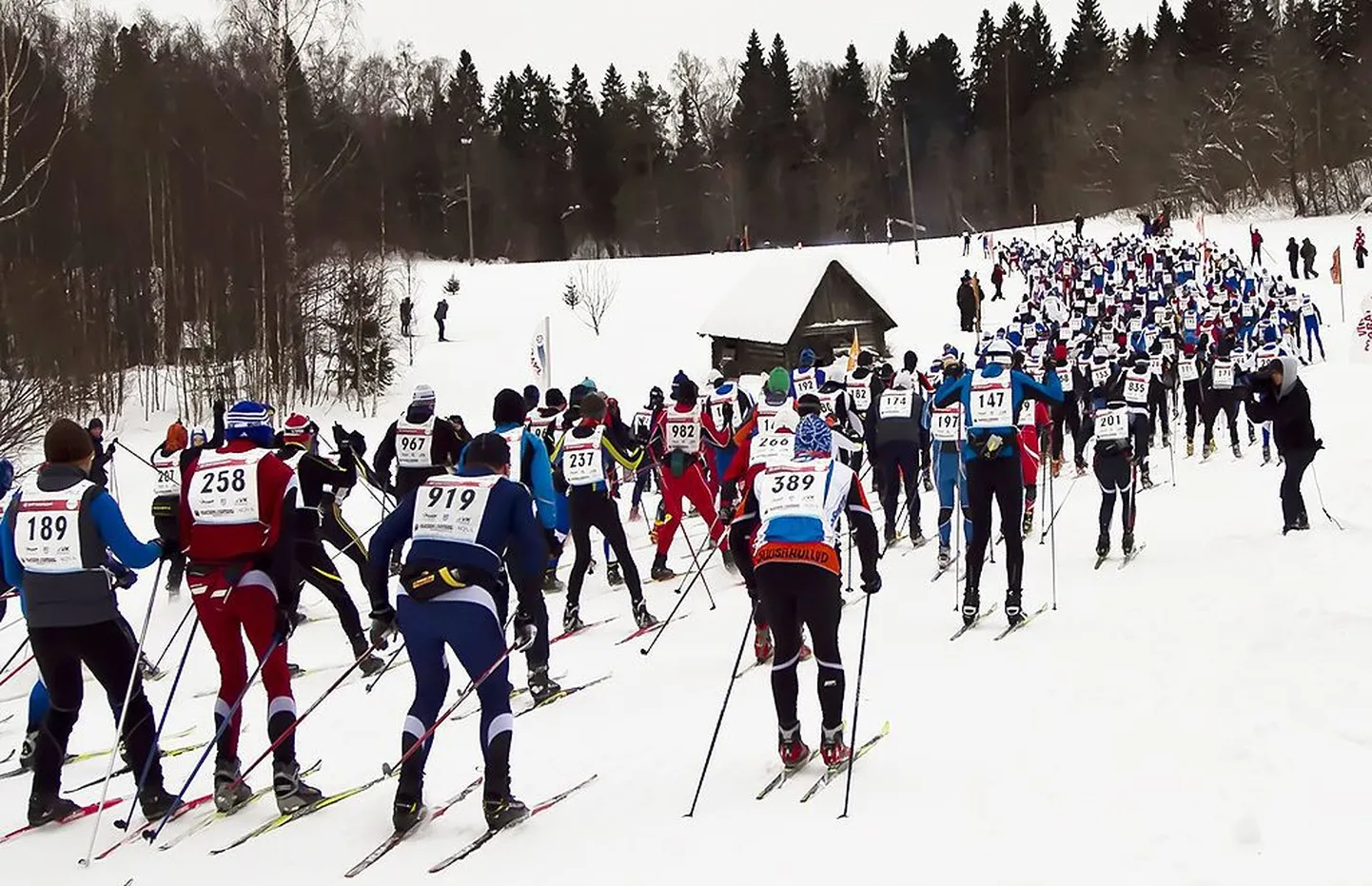 Viru maraton.
