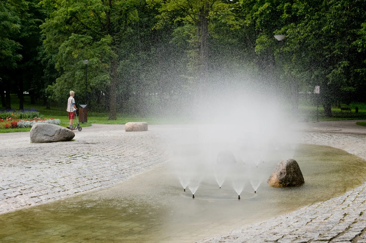 Kalamaja kalmistupark.