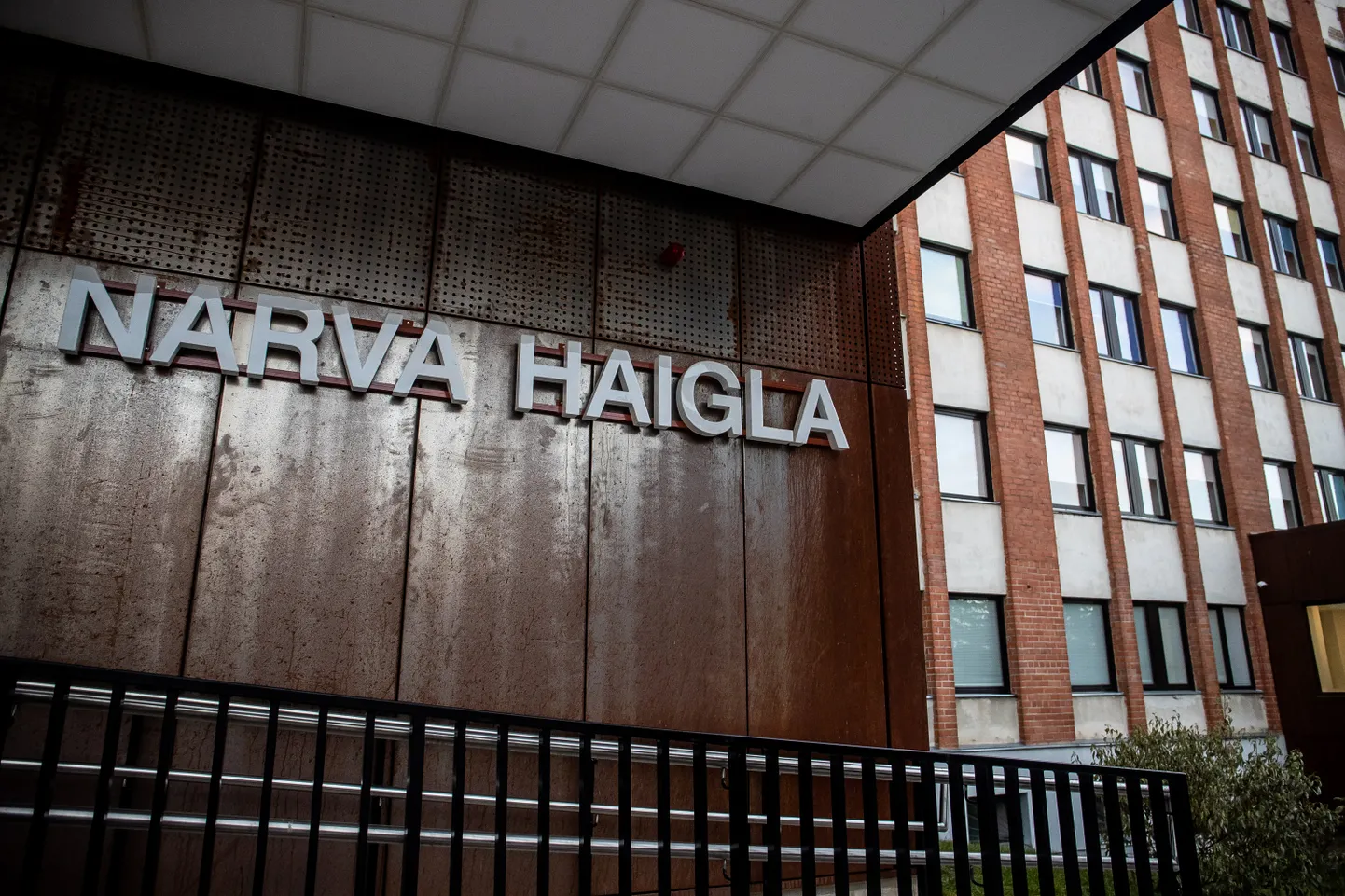See, kuidas Narva võimud püüavad kangutada ametist Narva haigla juhti Ago Kõrgveed, on sattud kogu Eesti meedia tähelepanu keskpunkti.