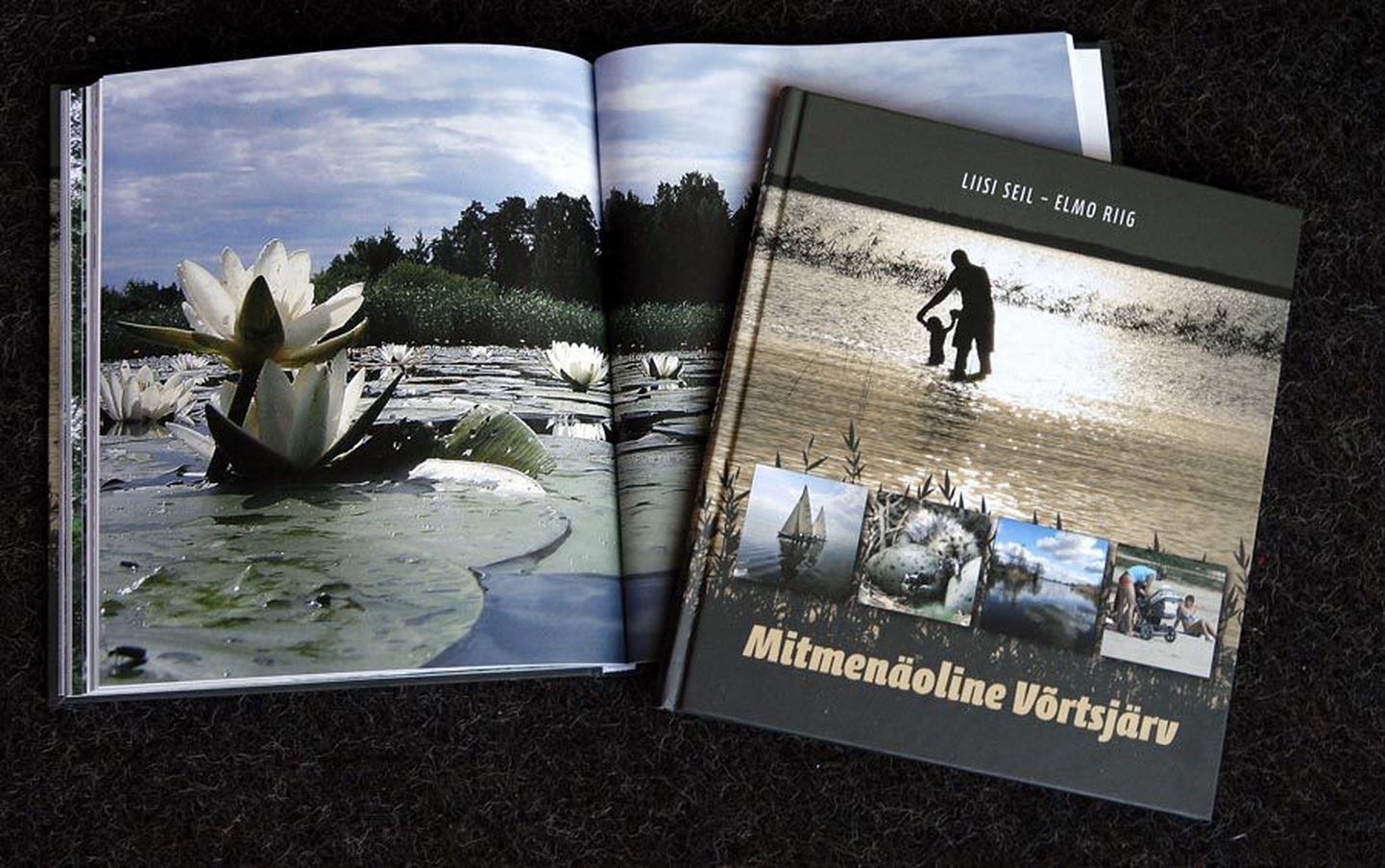 Liisi Seili ja Elmo Riigi raamatu «Mitmenäoline Võrtsjärv» peategelased on lisaks järvele endale ka selle kaldal elavad inimesed.
