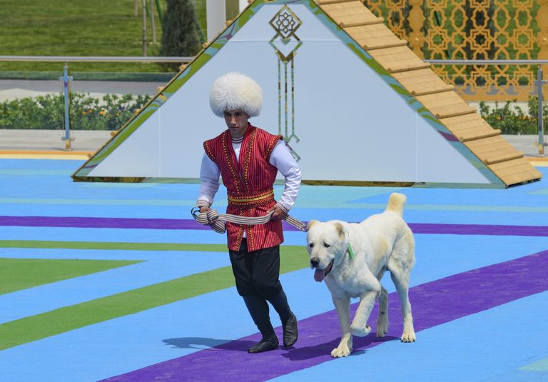 Esineja koos alabai tõugu koeraga 25. aprillil Türkmenistani pealinnas Aşgabadis