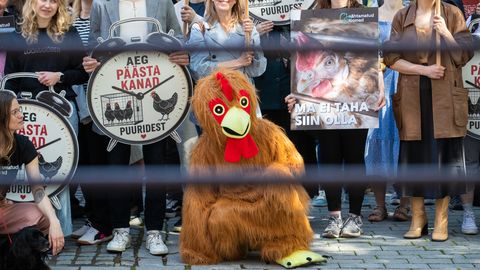 FOTOD ⟩ «Aeg päästa kanad!» Riigikogu ees korraldati suur meeleavaldus kanade puuris pidamise vastu