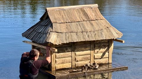 Õismäe tiigile paigaldati Vabaõhumuuseumi inspireeritud lindude pesitsusmajad