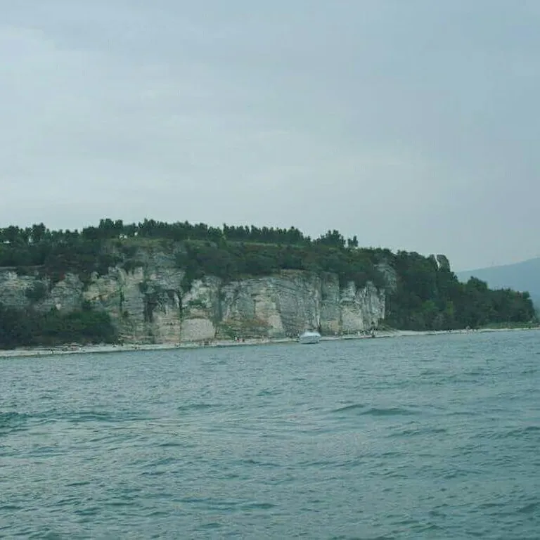 Artikli foto