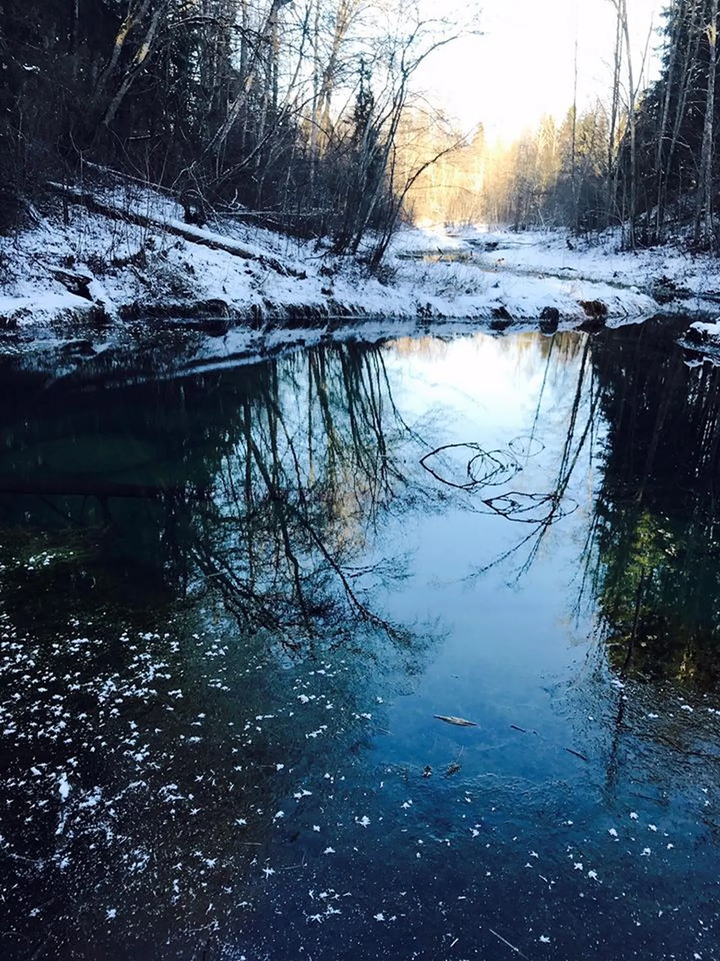 Фото статьи