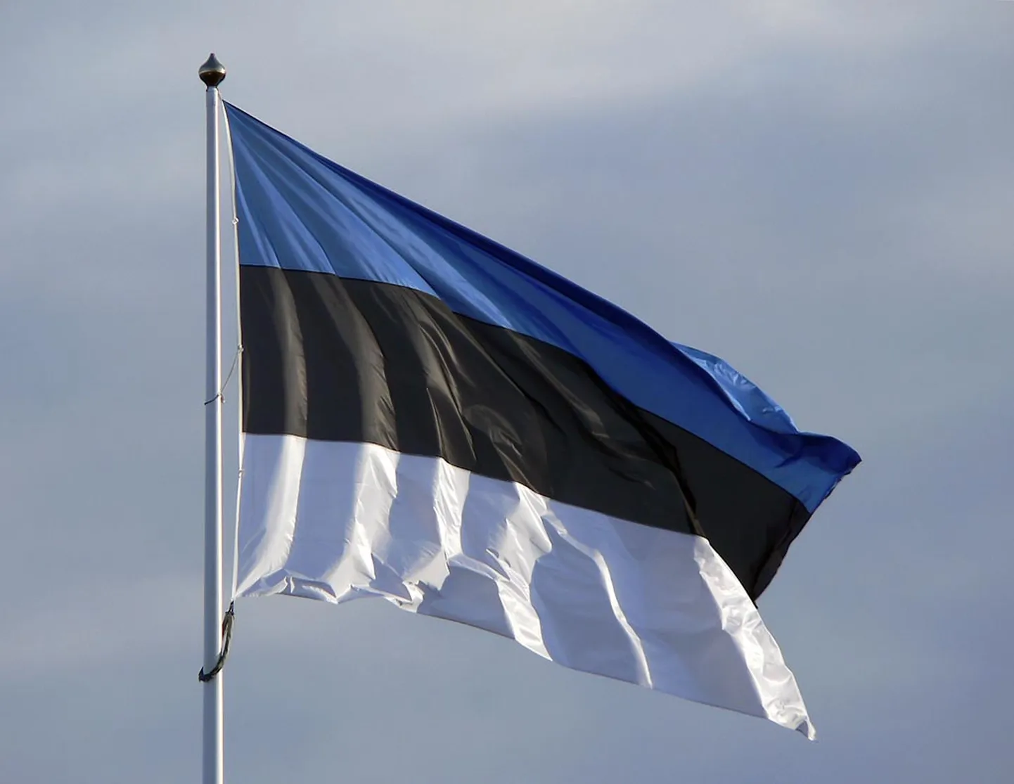 Euroopa parlamendi valimiste puhul riigilipp.