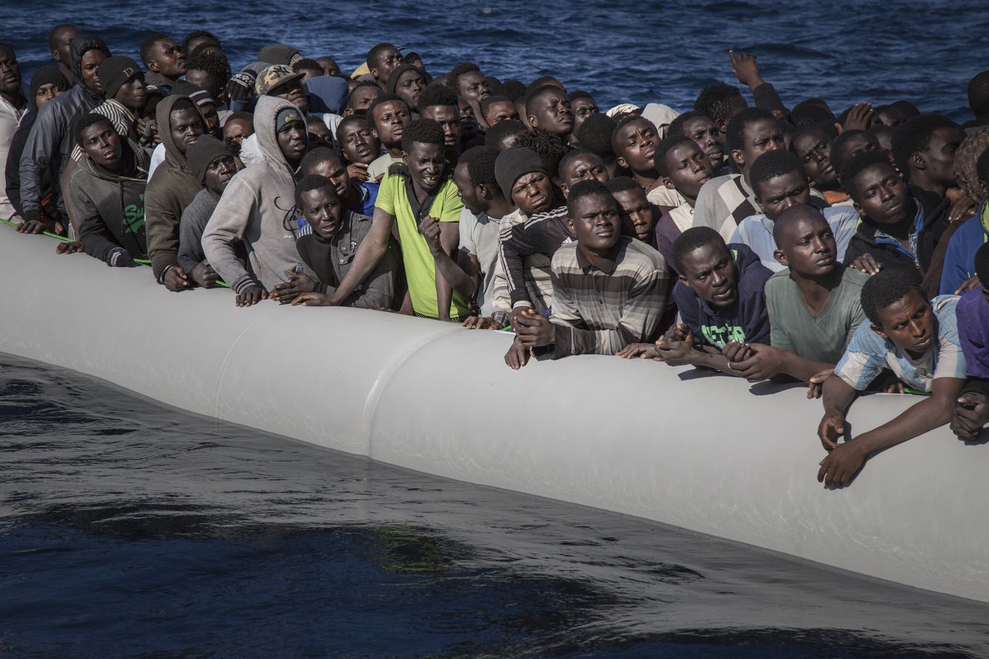 Migrandid vahemerel.