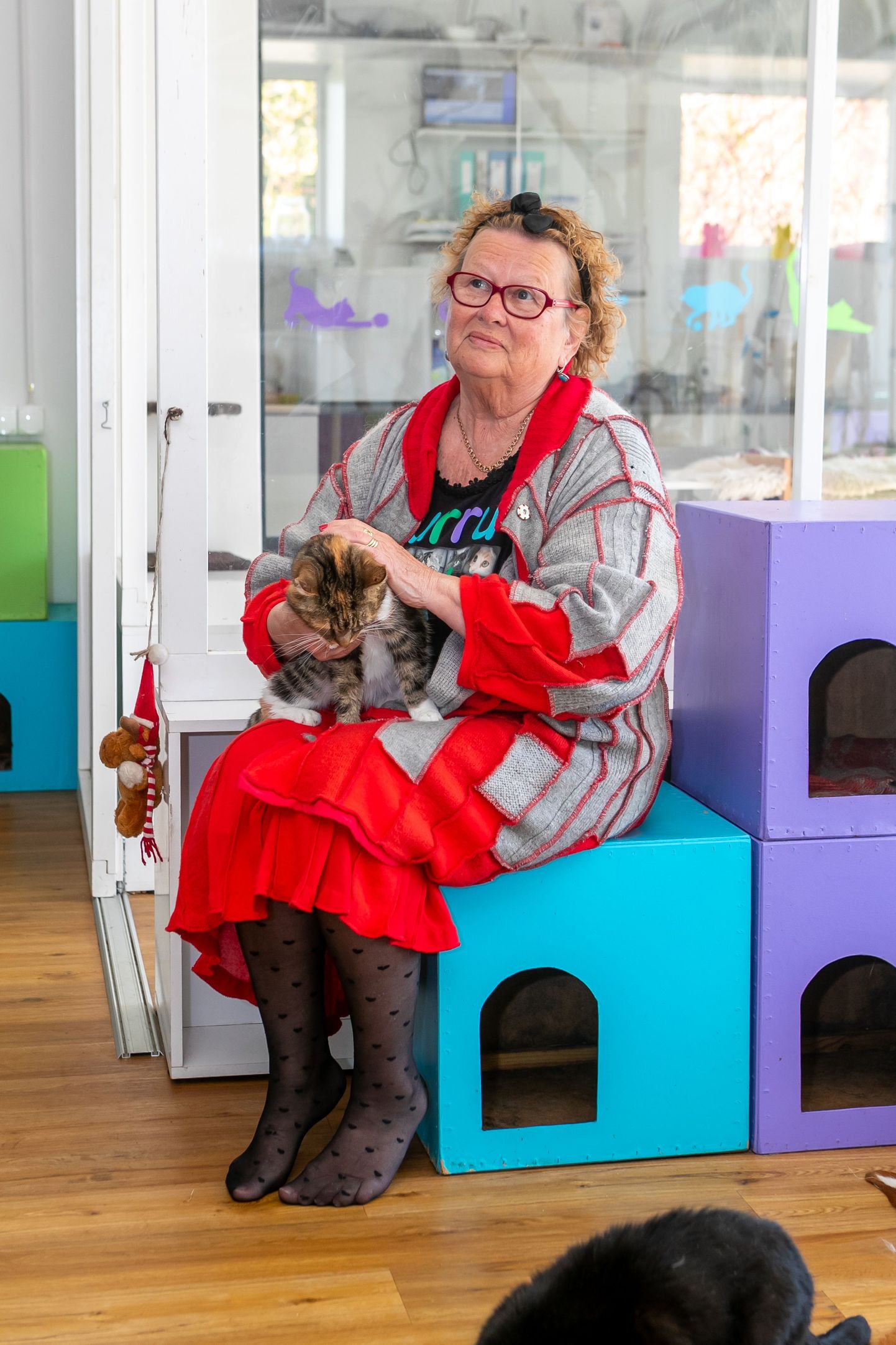 TUULA JA KIISUD: Audla endise kauplusehoone varjupaigaks kohandanud Tuula Pennaneni sõnul elab Nurrunurgas praegu ligi 80 kassi.