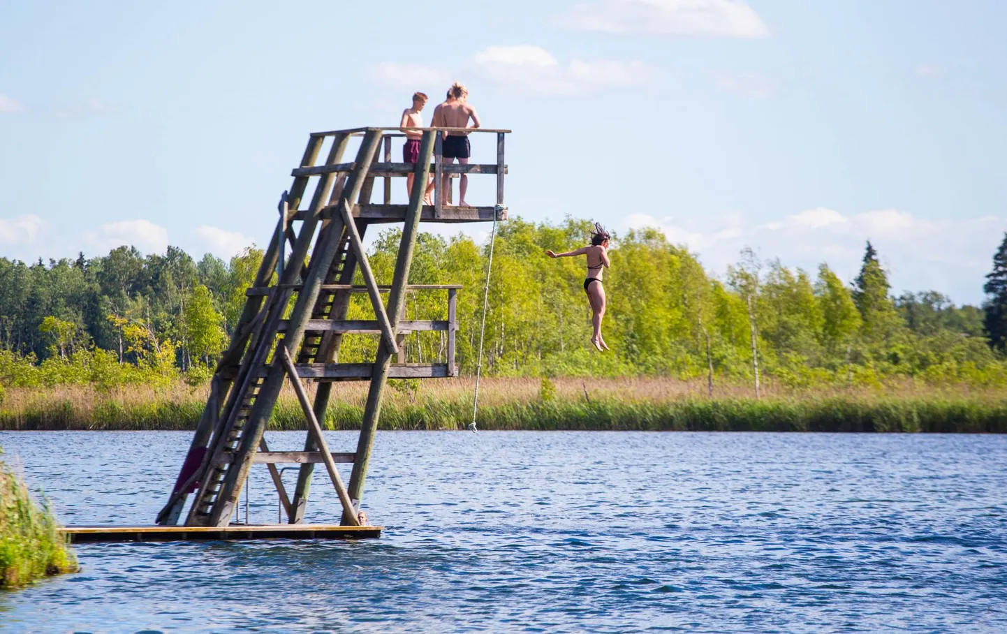 Sel nädalal tuleb päeval nii palju sooja, et võib randagi minna.