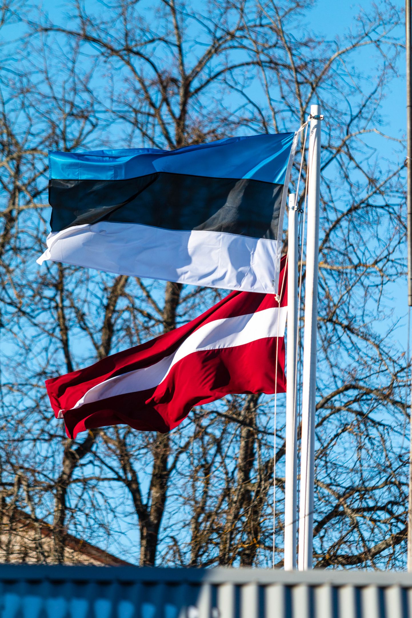 Eesti erametsaomanikud ei välista, et ühel hetkel tuleb ka neil sarnaselt Läti ametivendadega tänavale protestima minna.