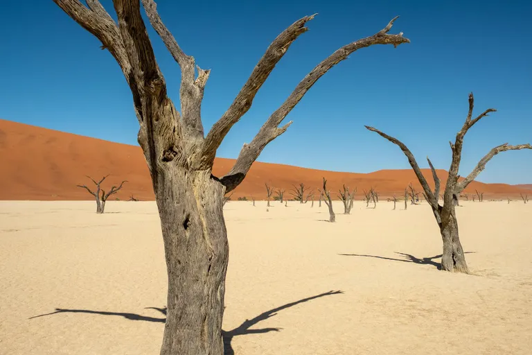 Deadvlei − helendav soolaväli Namibi kõrbe südames. Siin tuhat aastat tagasi kasvanud akaatsiad on muutunud sammasteks.