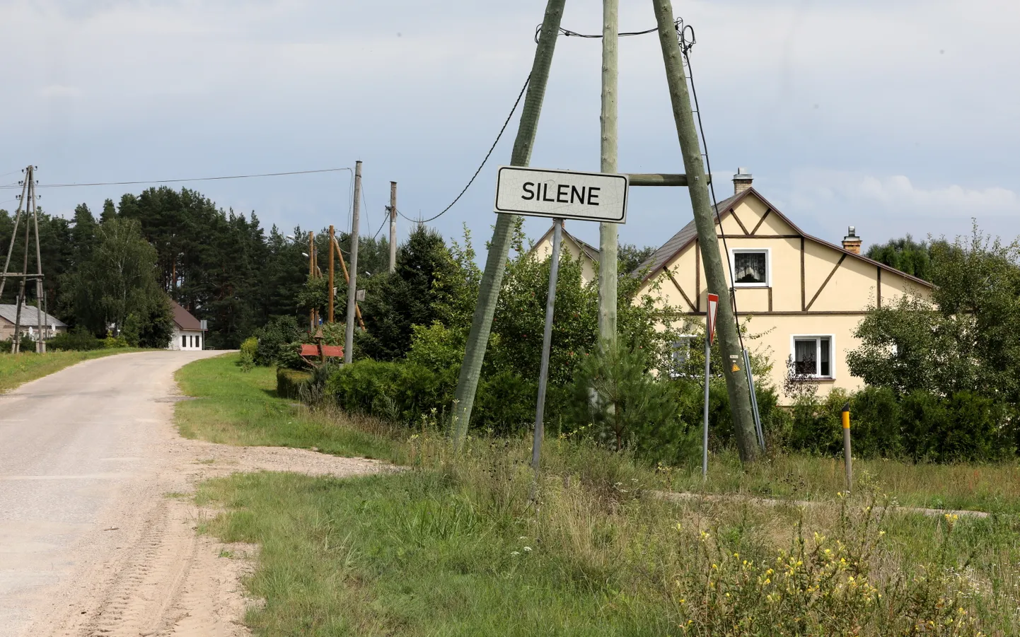 Raksta foto