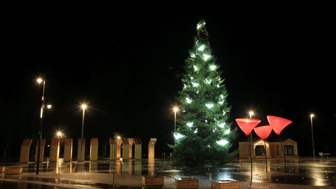 Fotod: vaata, millised jõulupuud on ehitud Tartumaa vallakeskustes