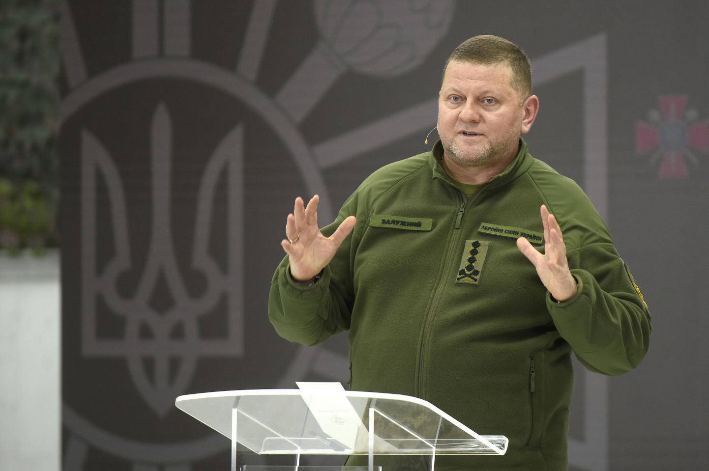 Бывший главнокомандующий украинской армии Валерий Залужный