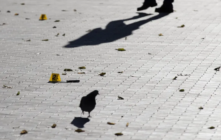 Nii aasta parima pressi- kui ka uudisfoto preemia pälvinud Postimehe fotograafi Liis Treimanni foto "Nuga kui asitõend". Foto on tehtud oktoobrikuu viimasel päeval, kui tallinlasi ehmatas kesklinnas nugadega ringi liikunud mees. Vahejuhtumi lõpetas politseiniku lask, mis osutus mehele surmavaks.
