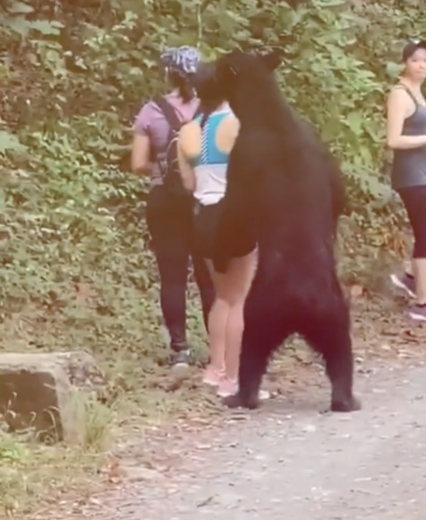 MEhhikos läks looduspargis karu naist nuusutama