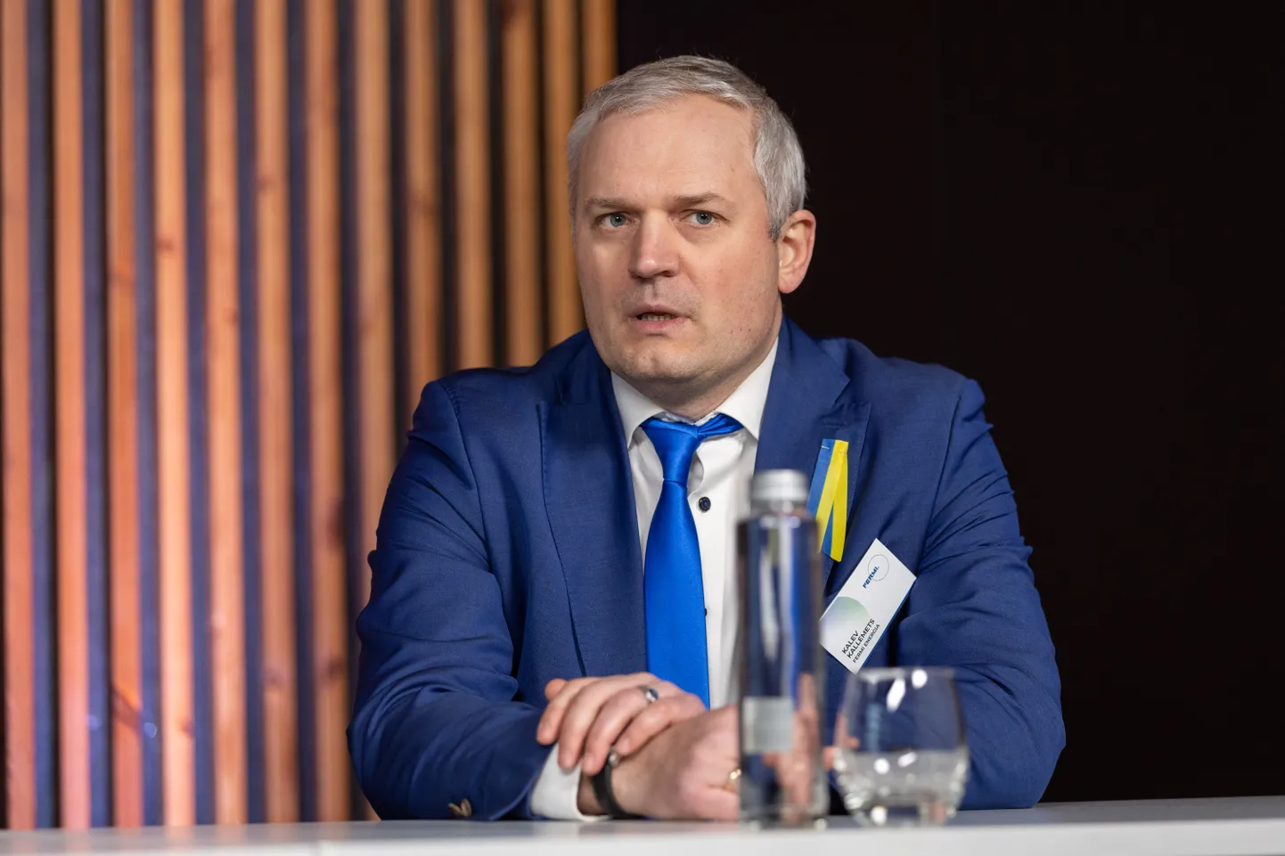 Fermi Energia juht Kalev Kallemets.