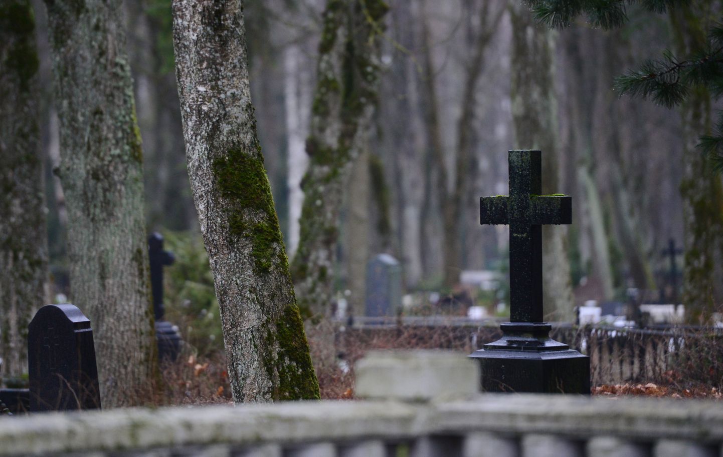 See hauaplats Pauluse kalmistul on üks tuhandetest, mille leiab ka Tartu kalmistute kaardirakendusest.