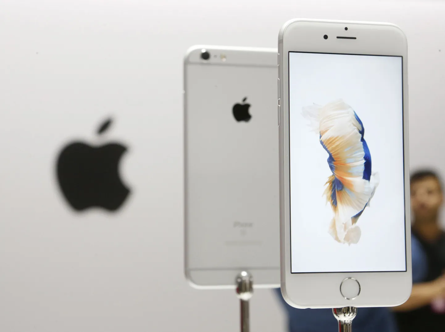 iPhone 6s. Фото иллюстративное