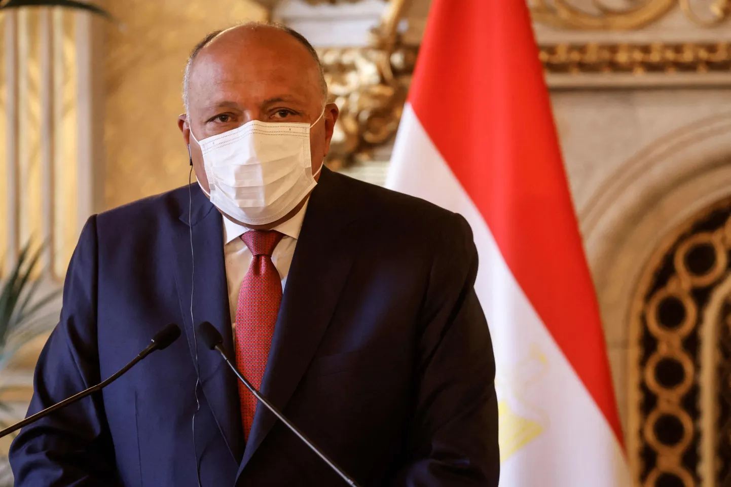 Sameh Shoukry.