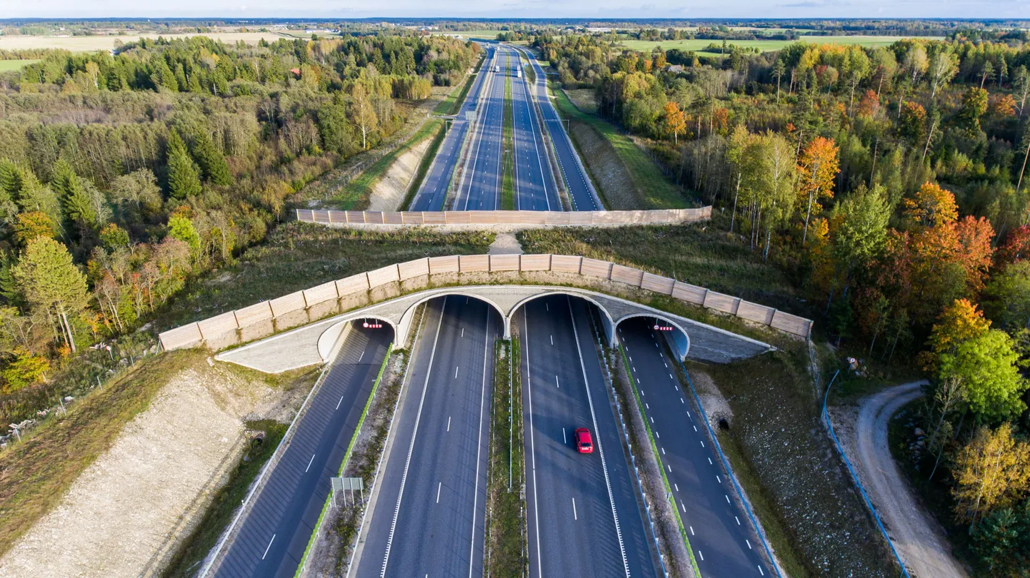 Ökodukt Tallinn-Tartu maanteel.