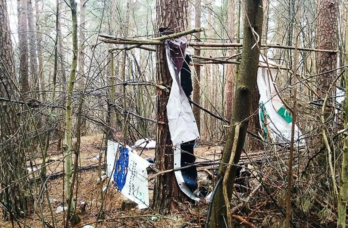 Raksta foto