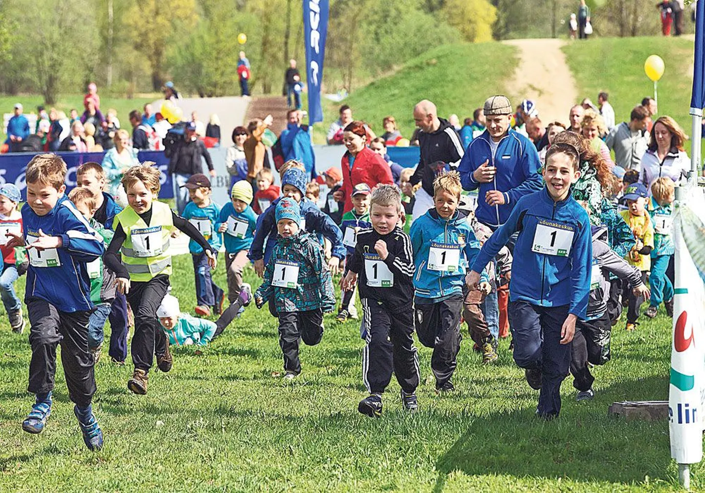 Elu näitab, kas praegu veel põlvepikkused saavad tänu Eesti spordi arengukavale tugevamaks ja elujõulisemaks.