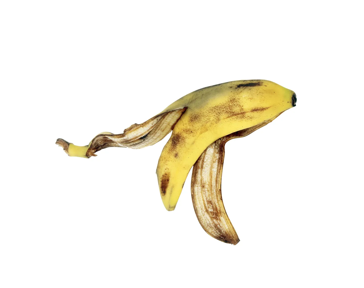 Banaan