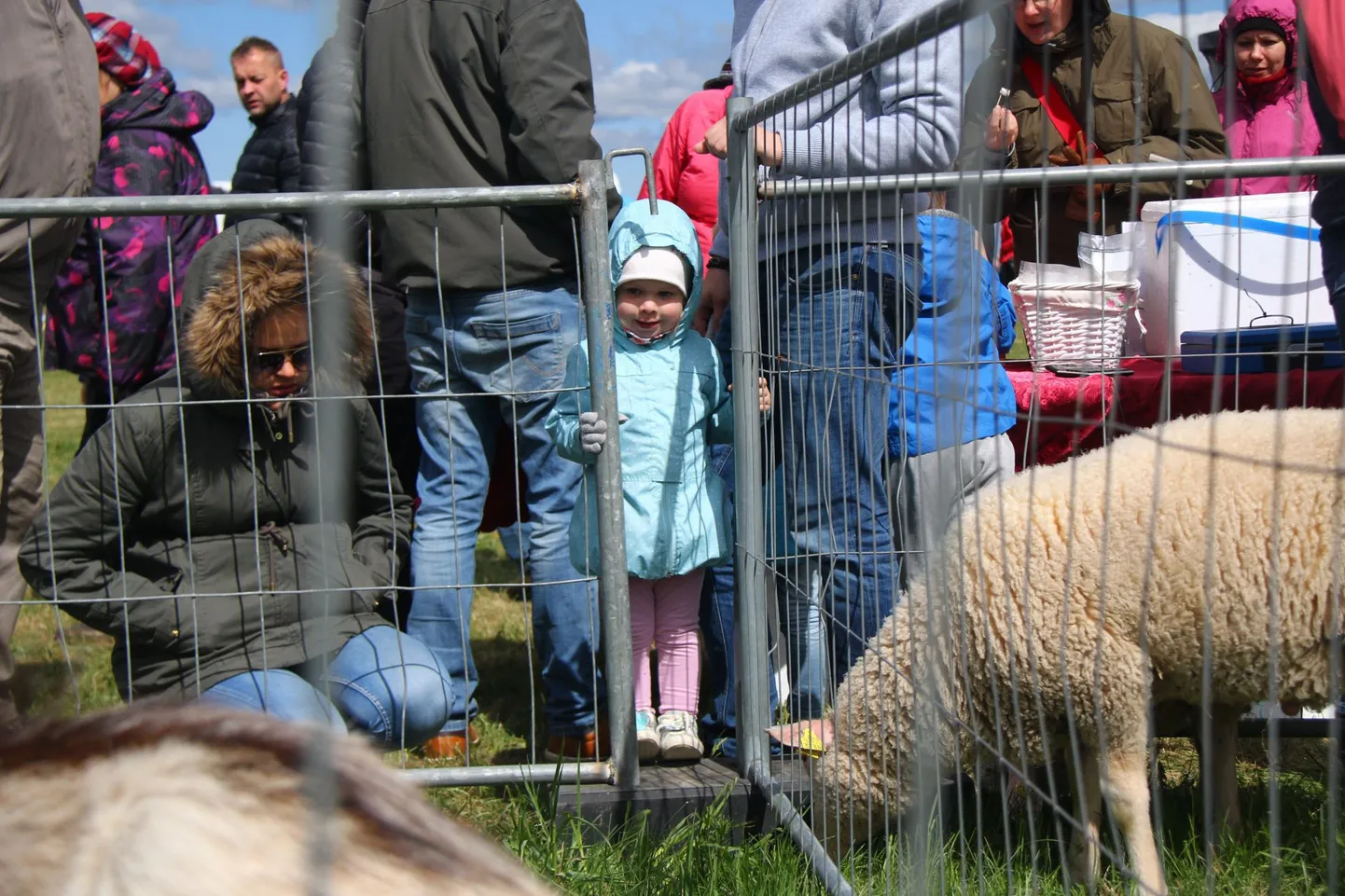 Sõmeru maaelufestival.
