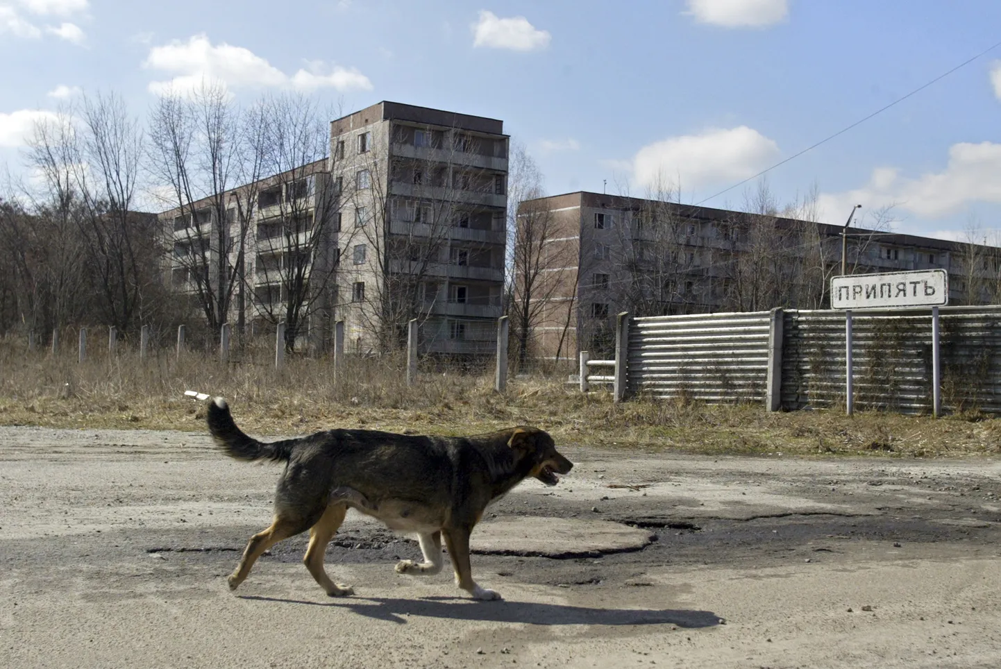 Фото статьи