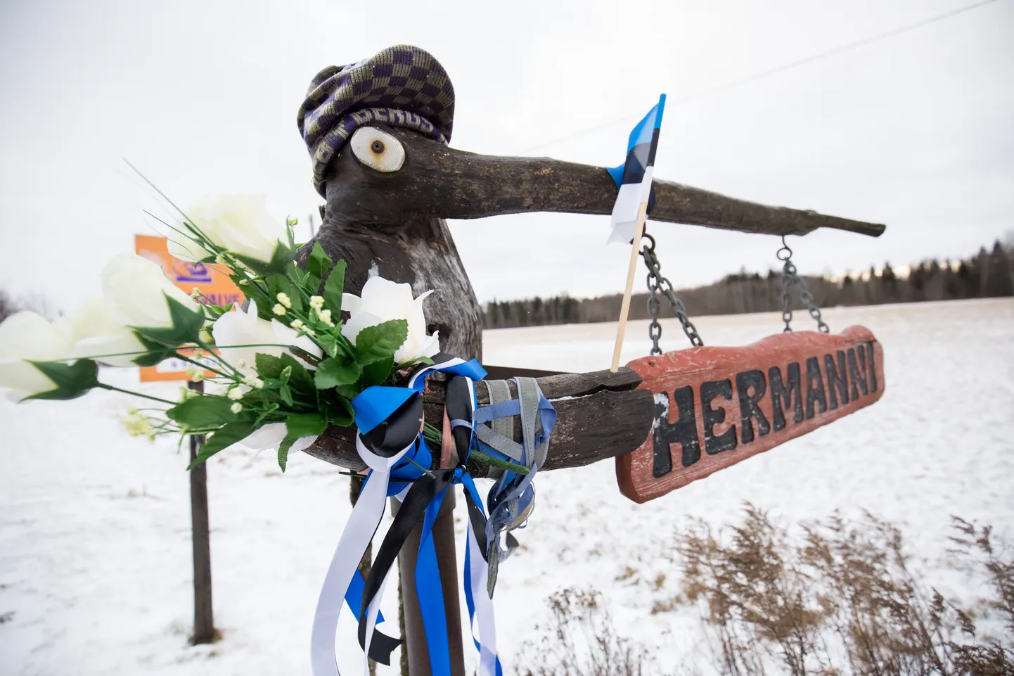 Hermanni küla Järvamaal