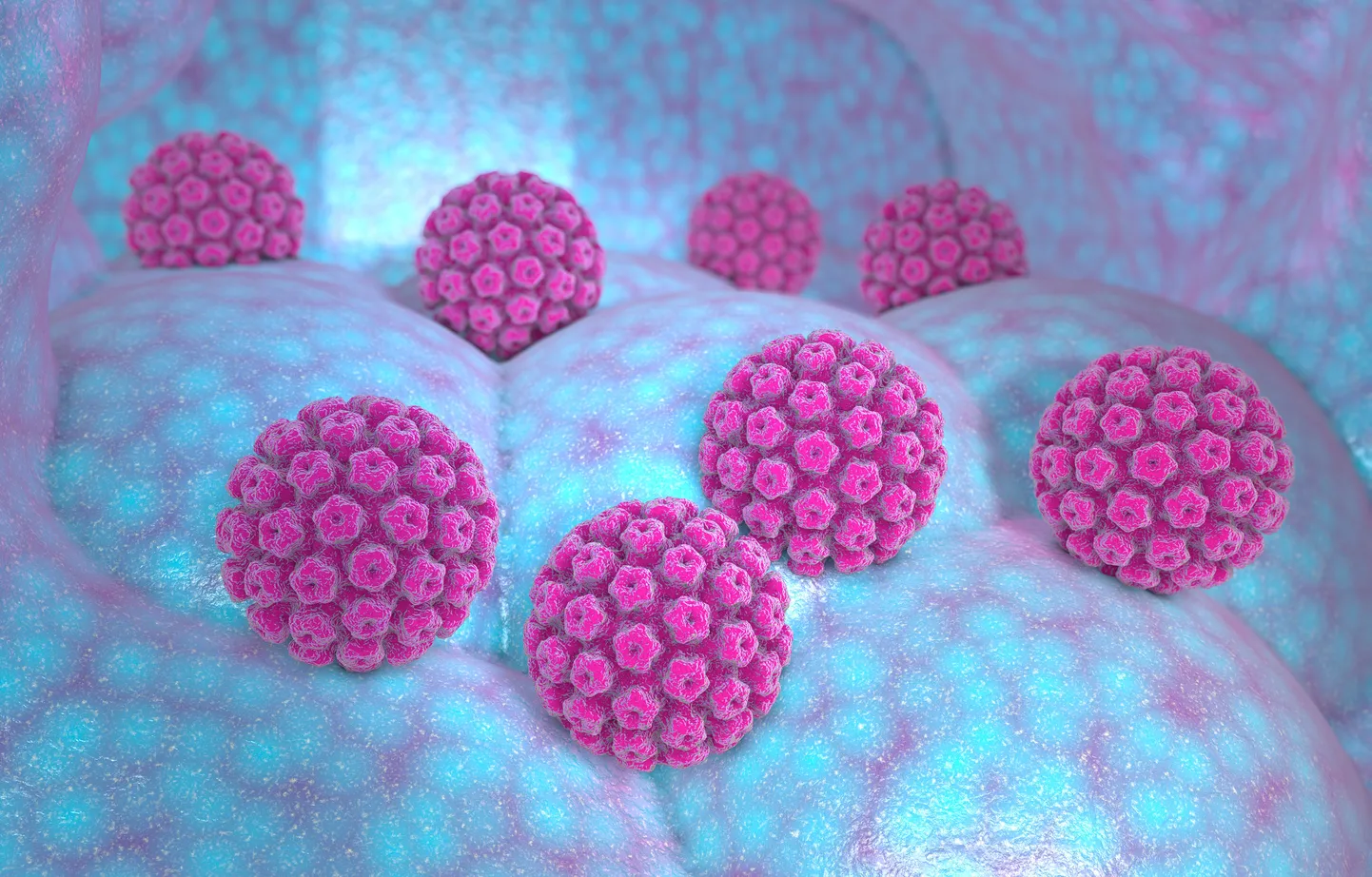 Sugulisel teel enimlevinud viiruse HPV vastase vaktsineerimise ja emakakaelavähi sõeluuringuga saaks Eestis igal aastal hinnanguliselt ära hoida umbes 200 vähijuhtu.